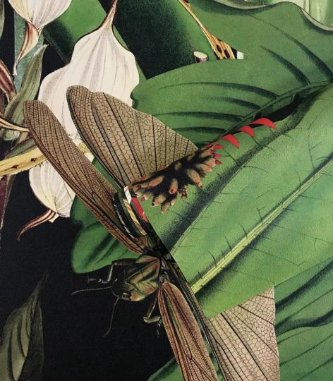 Wallcolors Tropical Intense Tropical Composition 100 x 250 - mural botaniczny