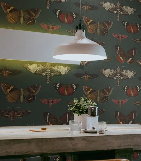 Wallcolors Vintage Therapy Butterflies And Moths Vert  - mural z motylami