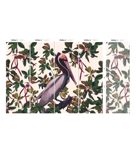 Wallcolors Botanical Experience Vintage Pelicans  - mural z pelikanami
