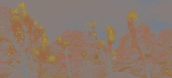 9fa2f852f2f9dba3f094aafc325b2ac6