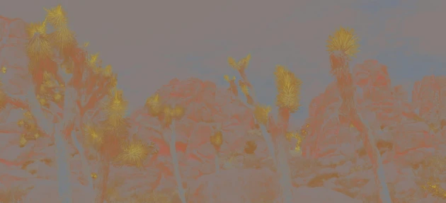 Wall&Deco WDJO2201 Contemporary 2022 Joshua - tapeta z krajobrazem