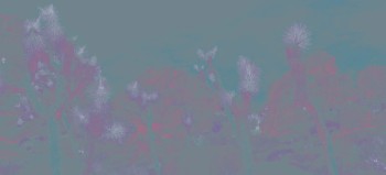 13496dacd8eb4daac72d6456df60823b