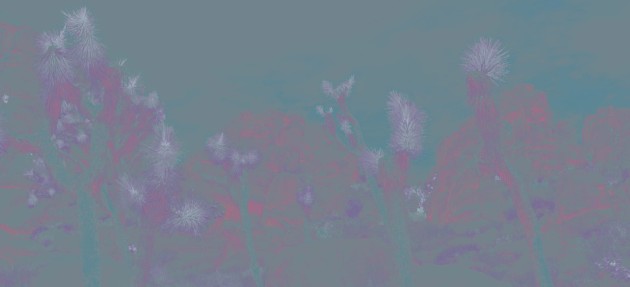 Wall&Deco WDJO2202 Contemporary 2022 Joshua - tapeta z krajobrazem