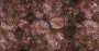 8ae14ad1774ec673a62efc22c59ed4cf