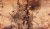 1d1bd4dbec921659dc50a2c76fd6acc0