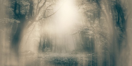 Inkiostro Bianco INKNEHA2201 Light and Shadows Moonlight - mural las