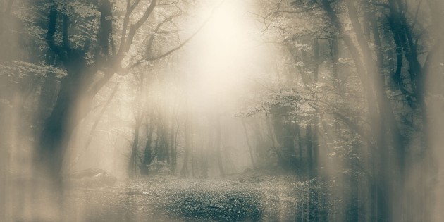 Inkiostro Bianco INKNEHA2201 Light and Shadows Moonlight - mural las