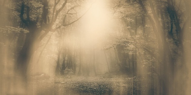 Inkiostro Bianco INKNEHA2202 Light and Shadows Moonlight - mural las