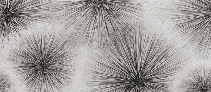 d34cbbeb46998af2e8e940f3493d6b07