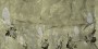f755351a69bb21ad00dbdc2c75ed11ac