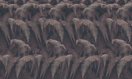 Inkiostro Bianco INKRTAI2201 Light and Shadows Phaedra - mural paprocie