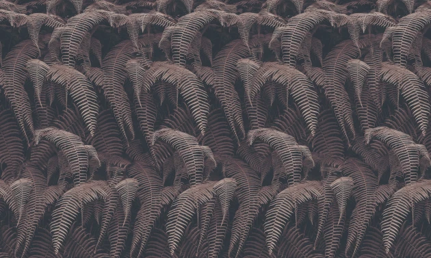 Inkiostro Bianco INKRTAI2201 Light and Shadows Phaedra - mural paprocie