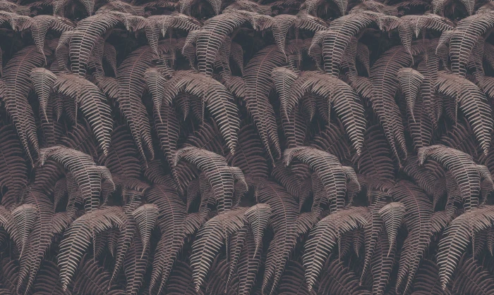 1e232e0d0b5693c90d5cfd28c2aeab68