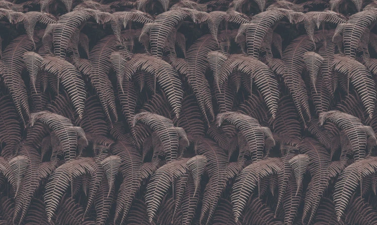 1e232e0d0b5693c90d5cfd28c2aeab68