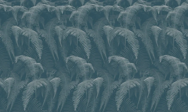 Inkiostro Bianco INKRTAI2202 Light and Shadows Phaedra - mural paprocie