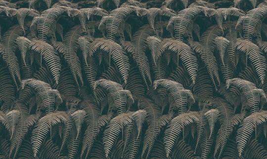 Inkiostro Bianco INKRTAI2203 Light and Shadows Phaedra - mural paprocie