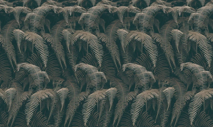 521b4599fa0b0f24b29061a33329e1ad
