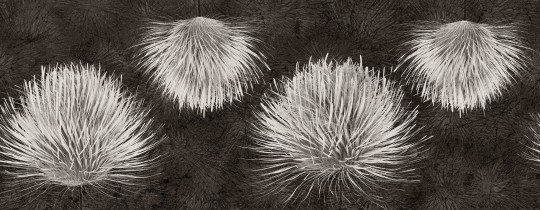 Inkiostro Bianco INKUDAR2202 Light and Shadows Carduus - mural w dmuchawce