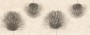 39c75ab96dbfd54c36d1293297c40ed8