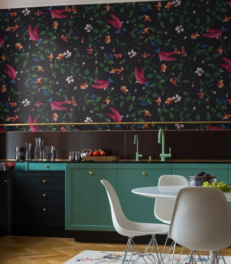 Wallcolors Medicine Parrots  - mural z papugami