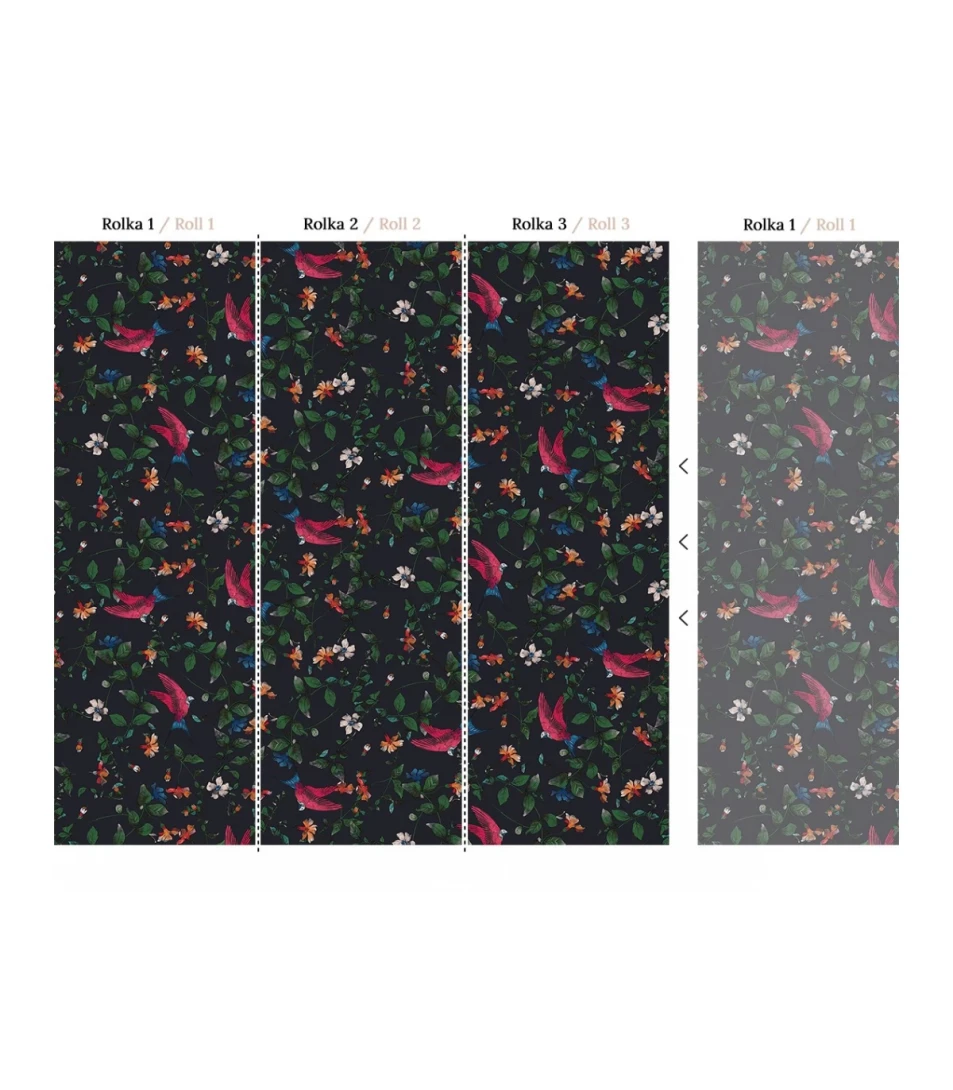 Wallcolors Medicine Parrots  - mural z papugami