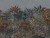 55c603983dc1b04418cc46819ac0b51b