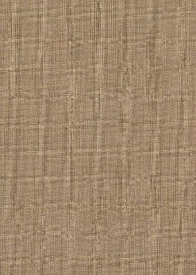 London Art 50106 Prime Wallpaper Caramello - mural minimalistyczny