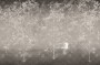 7947c60b5a22beab9ad4283af4a907b9