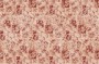 e81a517a3c2d60e0966c4bb3274e1554