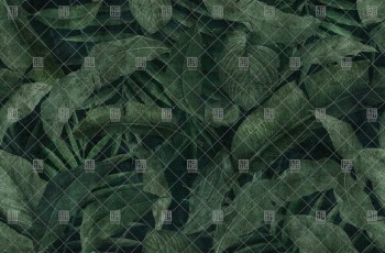 6470cc31e5eb73baae74ad66048f6b24