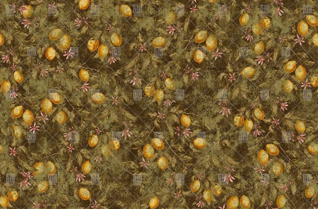 London Art T07S05 1A The Daydreamer Can You See Me - mural z cytrusami