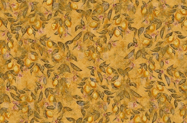 London Art T07S05 3 The Daydreamer Can You See Me - mural z cytrusami