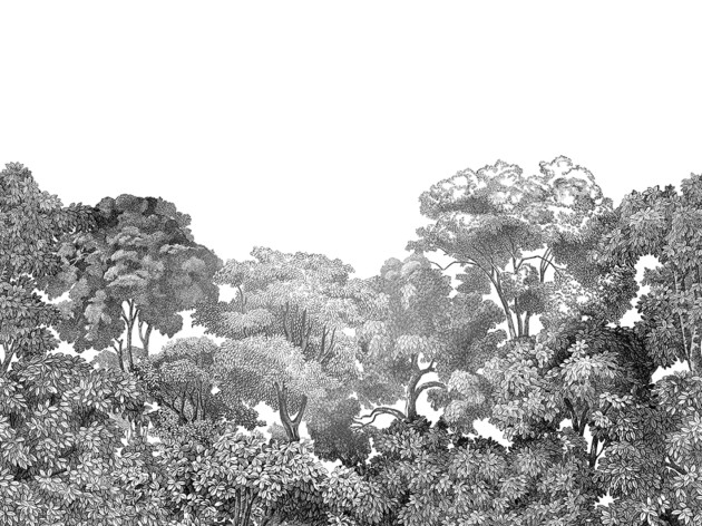 Rebel Walls R13053 Dreamland Bellewood Black Toile - mural z lasem