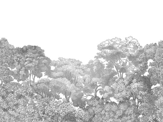 Rebel Walls R13054 Dreamland Bellewood Grey Toile - mural z lasem