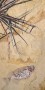 abe6b5a53875b78028e7d8eae0a5935d
