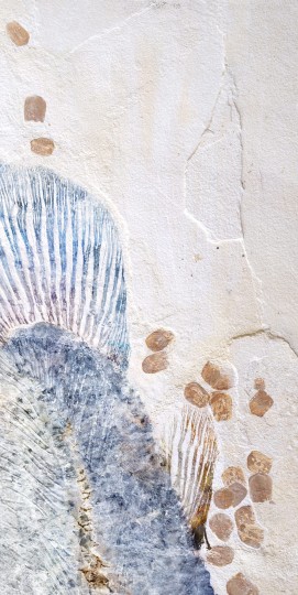 Tecnografica Fossils Life On Earth 2 - panel dekoracyjny skamieliny