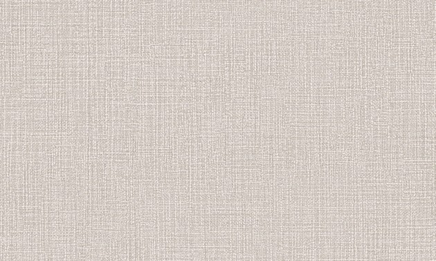 Arte Essentials Palette 57500 Tela Alabaster - tapeta imitująca len