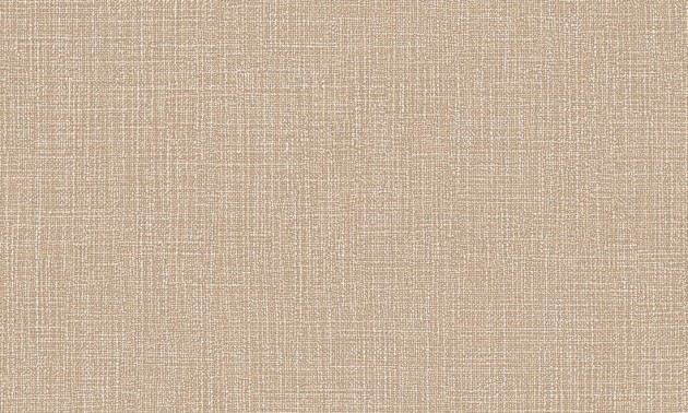 Arte Essentials Palette 57502 Tela Linen - tapeta imitująca len