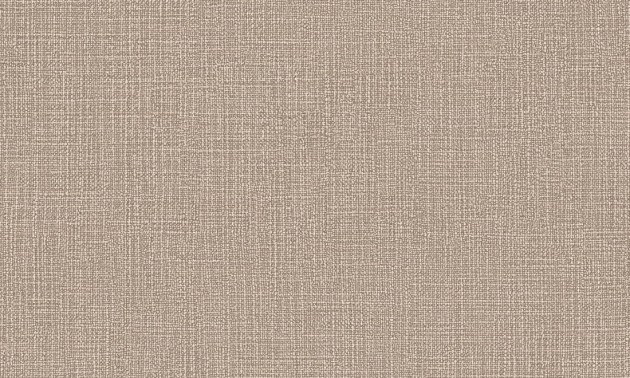 Arte Essentials Palette 57504 Tela Warm Stone - tapeta imitująca len