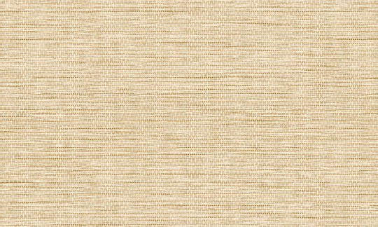 Arte Essentials Palette 60501 Le Papier Tisse Honey - tapeta imitująca tkany papier