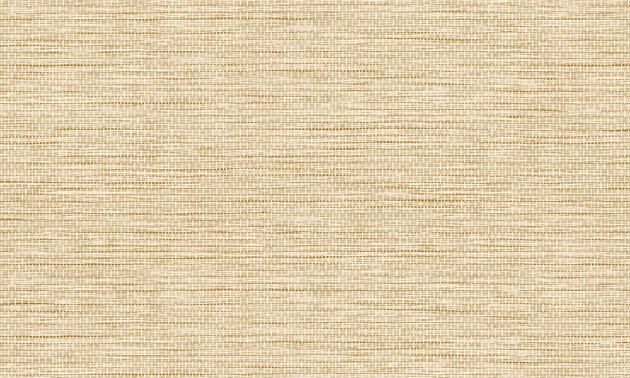 Arte Essentials Palette 60501 Le Papier Tisse Honey - tapeta imitująca tkany papier