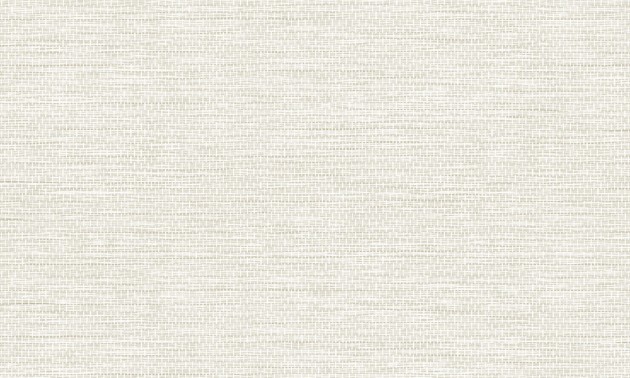Arte Essentials Palette 60502 Le Papier Tisse Bone - tapeta imitująca tkany papier