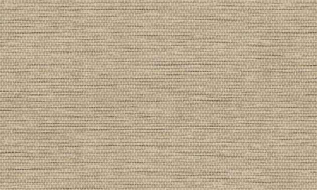 Arte Essentials Palette 60505 Le Papier Tisse Hazelnut - tapeta imitująca tkany papier