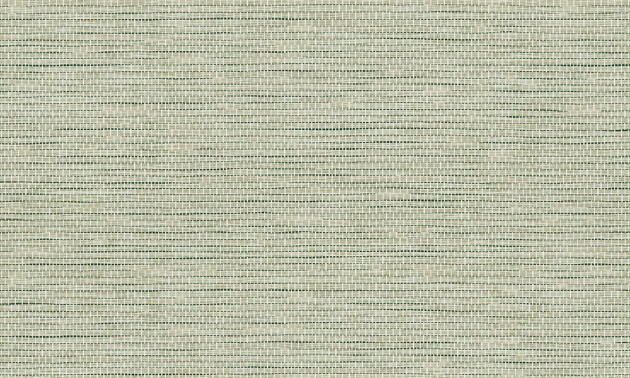 Arte Essentials Palette 60507 Le Papier Tisse Pistache - tapeta imitująca tkany papier
