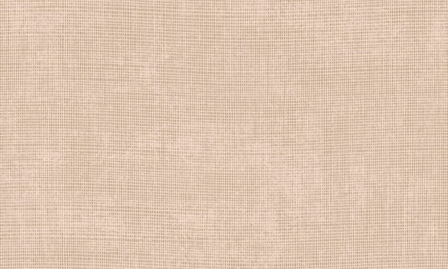 Arte Essentials Palette 73085 Tulle Mushroom - tapeta imitująca tkaninę