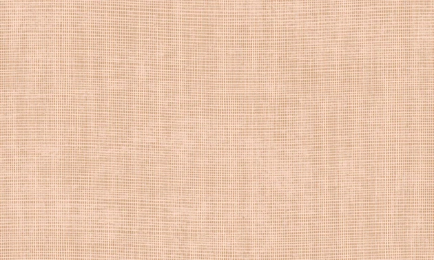 Arte Essentials Palette 73089 Tulle Nude - tapeta imitująca tkaninę