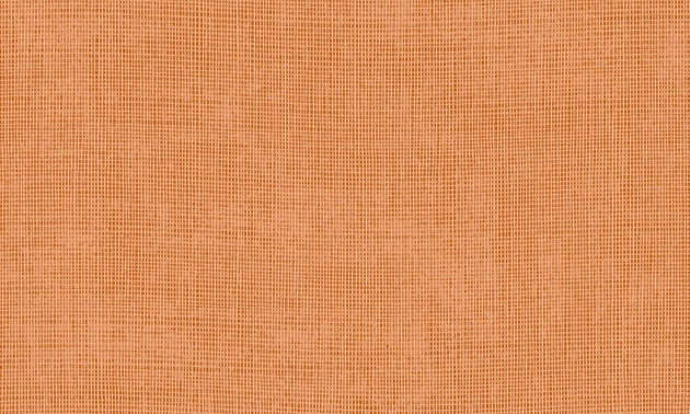Arte Essentials Palette 73092 Tulle Squash - tapeta imitująca tkaninę