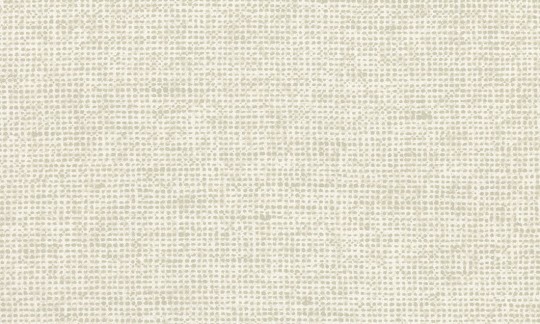 Arte Essentials Palette 91500 Chanderi Pillow - tapeta imitująca lniane płótno
