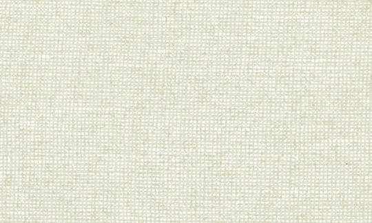 Arte Essentials Palette 91501 Chanderi Eggshell - tapeta imitująca lniane płótno