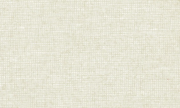 Arte Essentials Palette 91501 Chanderi Eggshell - tapeta imitująca lniane płótno